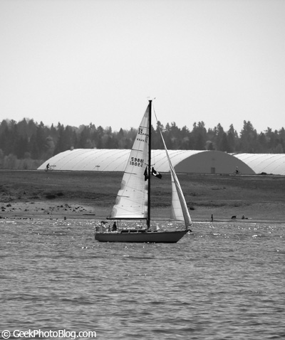Sail Boat On The River