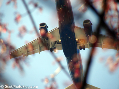 Airplane