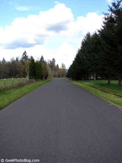 Road To Nowhere
