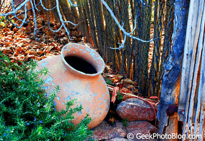 Desert Botanical Garden